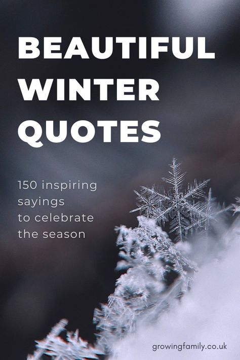 Magical Winter Quotes, Love Cold Weather Quotes, Winter Magic Quotes, Quotes About Winter Feelings, Quotes For Winter Season, Winter Quotes Short Aesthetic, Winter Garden Quotes, Winter Greetings Quotes, Winter Blessings Quotes