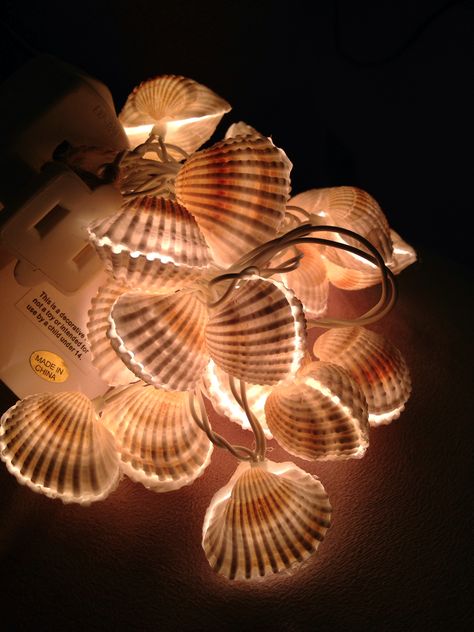 Shell lights Surf Room Ideas, Seashell Light, Ocean Room Ideas, Shell Lights, Candle Alter, Oyster Shells Decor, Ocean Bedroom, Surf Room, Shell Light