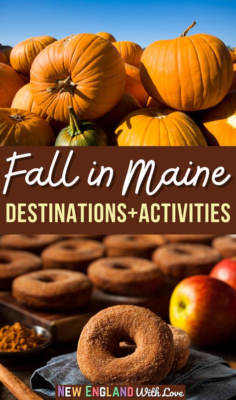 Portland Maine Fall Itinerary, Fall Maine Trip, Things To Do In Maine In October, Best New England Towns In Fall, Portland Maine October, Fall Foliage New England, Maine In November, Things To Do In Maine Fall, Portland Maine In The Fall