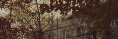 Twitter Header Autumn Aesthetic, Autumn Twt Header, Dark Acadamia Banner, Orange Brown Twitter Header, Dark Brown Banner Aesthetic, Aesthetic Fall Header, Horizontal Brown Aesthetic, Orange Banners Aesthetic, Brown Aesthetic Banner Discord