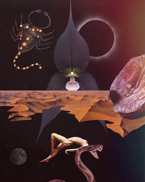 New Moon In Scorpio, Moon In Scorpio, Scorpio Art, Sound Bath, Scorpio Moon, Visionary Art, New Moon, Great Artists, Astrology