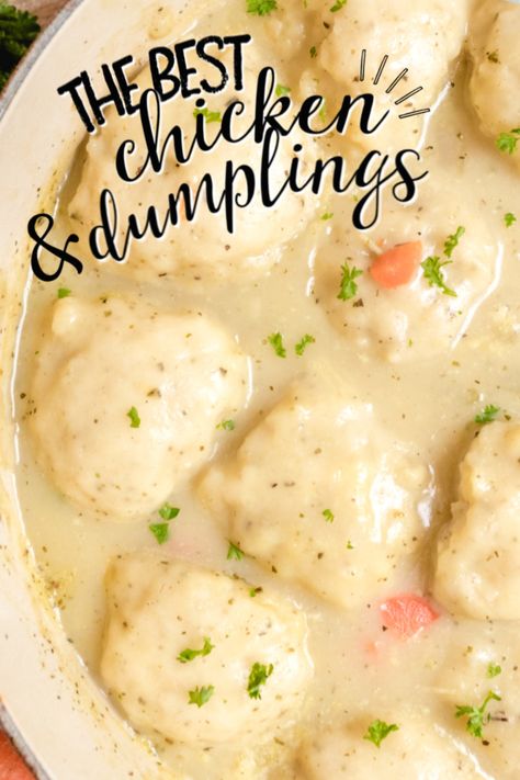 Chicken and Dumplings - Spaceships and Laser Beams Organic Chicken Recipes, Dumplin Recipe, Chicken Dumplings Recipe, Chicken And Dumplings Recipe, Homemade Chicken And Dumplings, Cooked Chicken Recipes, Fancy Dishes, Chicken And Veggies, Dumplings Recipe