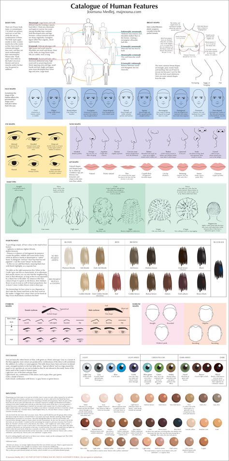 Human Features, Eye Reading, Inkscape Tutorials, Anatomy Tutorial, 얼굴 그리기, Art Instructions, Anatomy Reference, Drawing Lessons, Drawing Tutorials