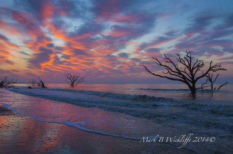 Botany Bay, Edisto Island SC Charleston South Carolina Beaches, South Carolina Coast, Edisto Beach, Edisto Island, Luxury Beach Resorts, North Carolina Beaches, Botany Bay, Outer Banks Beach, South Carolina Beaches