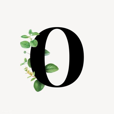 Botanical capital letter O vector | premium image by rawpixel.com / Aum O Letter Images, Letter O Design, Botanical Capital Letter, Botanical Alphabet, Alphabet Letter Crafts, Alphabet Wallpaper, Art Appliqué, Lettering Alphabet Fonts, Alphabet Art