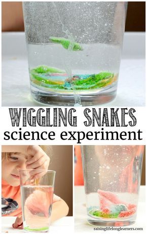 Kids will love this delightfully creepy wiggling snakes science experiment. Learn about the reaction of vinegar and baking soda by making snakes wiggle! Pet Crafts For Kids, Animal Science Experiments, Safari Science, Animal Science Activities, Reptiles Activities, Amphibians Activities, Zoo Animals Preschool, Science Activities For Toddlers, Jungle Activities