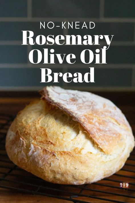 Make this easy no-knead rosemary olive oil bread today! It's easy to make and so delicious. It's crusty on the outside and tender inside! Rosemary Olive Oil Bread, Rustic Bread Recipe, Olive Bread Recipe, Rosemary Olive Oil, Olive Oil Bread, Rosemary Bread, Olive Bread, Bread Maker Recipes, Homemade Bread Recipes Easy