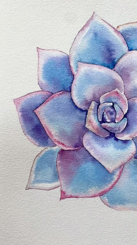 Watercolor Cool Ideas, Watercolour Succulents Simple, Watercolor Art Succulents, Watercolor Paintings Colorful, Succulent Painting Ideas, Watercolor Succulent Paintings, One Color Painting Ideas, Aquarelle For Beginners, Watercolor Succulents Easy