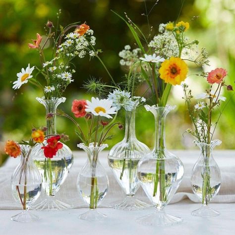 Reception Table Decorations, Garden Decor Diy, Glass Bud Vase, Wedding Vases, Plant Vase, Wedding Table Decorations, Deco Floral, Rustic Garden Decor, Vase Centerpieces