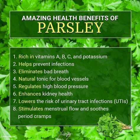 Parsley Benefits Health, Spices Benefits, Benefits Of Parsley, Parsley Health, Parsley Benefits, Benefits Of Herbs, Balanced Hormones, Gut Feelings, Benefits Of Organic Food