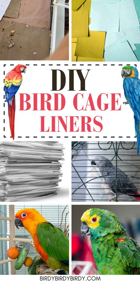 DIY Bird Cage Liners Conure Cage Setup Ideas, Bird Cage Ideas Indoor, Indoor Bird Room Ideas, Bird Cage Setup, Parakeet Cage Ideas, Diy Aviary, Diy Parrot Cage, Parrot Habitat, Conure Cage