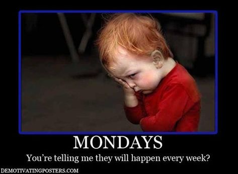 Yes it's Monday again!  Monday's can be rough but we have 50 funny Happy Monday quotes to brighten your day. Funny Monday Pictures, Hate Mondays Funny, Funny Monday Memes, Sunday Humor, Monday Pictures, Monday Humor Quotes, Monday Monday, I Hate Mondays, Monday Memes