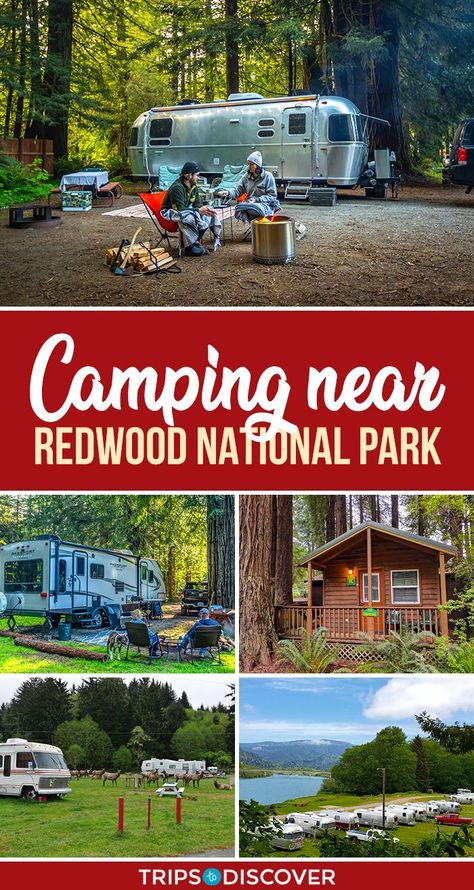 Redwood National Park Winter, One Day In Redwood National Park, Camping Trip Packing List, Red Wood National Park California, Redwoods California, Redwood National And State Parks, Koa Campgrounds, Coastal Redwood, California Parks