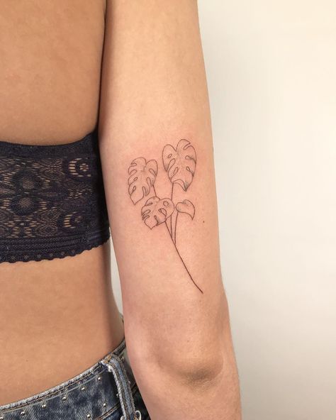 Monstera Deliciosa Tattoo, Highlights Instagram, Plant Tattoo, Geniale Tattoos, Temporary Tattoo Designs, Dainty Tattoos, Monstera Plant, Dream Tattoos, Little Tattoos