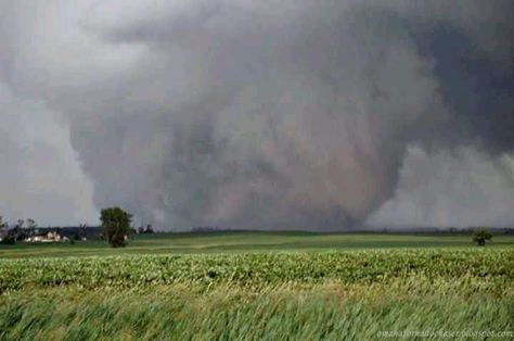 Possible largest tornado in recorded US history at 2 and a quarter miles wide. Between New Castle and Moore Oklahoma. Ef5 Tornado, El Reno Tornado, Twister 1996, Tornado Pictures, Water Spouts, Crazy Photos, Oklahoma Tornado, Tornado Alley, Storm Chasing