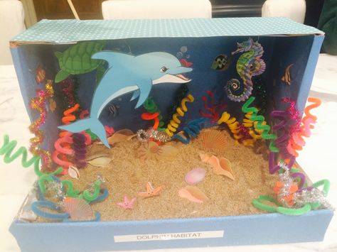 Dolphin diorama Coral Reef Biome, Ecosystems Diorama, Coral Reef Craft, Dolphin Craft, Ocean Diorama, Biomes Project, Diorama Kids, Ecosystems Projects, Coral Reef Ecosystem