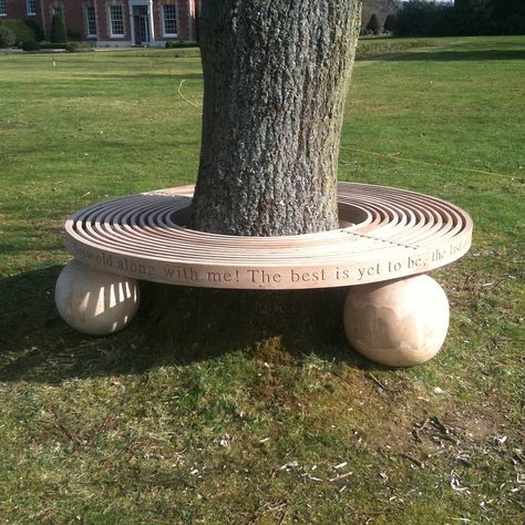 Bench Around Trees, Tree Seat, Tree Bench, Under A Tree, School Garden, Outside Living, Garden Seating, Wooden Bench, Garden Features