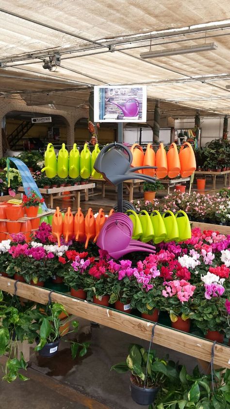 Garden Centre Displays, Glass House Garden, Cactus Farm, Gift Shop Displays, Copper Nail, Garden Center Displays, Farmers Market Display, Plant Display Ideas, Flower Shop Design