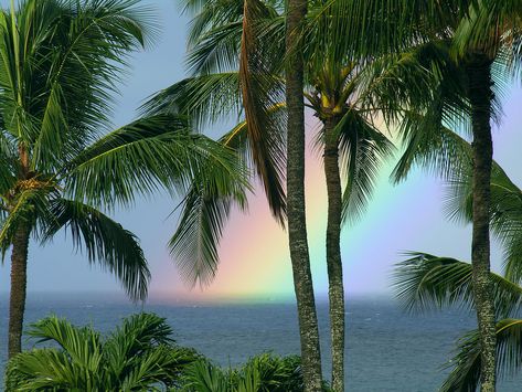 Ocean Rainbow, Hawaiian Rainbow, Rainbow Ocean, Hawaii Rainbow, Beach Pink, God's Promise, Rainbow Sky, Aloha Hawaii, I Love The Beach