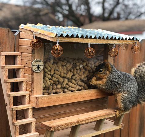 I Made A Squirrel Bar Squirrel Feeder Diy, Squirrel Appreciation Day, Build A Picnic Table, Squirrel Home, Squirrel Feeders, Squirrel Feeder, Diy Bird Feeder, Diy Birds, Bird Houses Diy