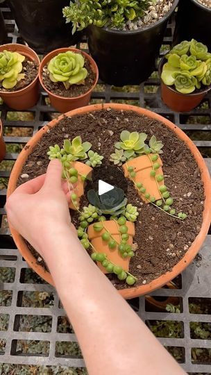 68K views · 6.1K reactions | Let’s make a mini succulent pot in a pot design with succulents 🌱 | Kayla Munson | Alok · Jungle Small Clay Pot, Pot Design, Clay Planters, Mini Succulents, Pot Designs, Succulent Pots, Clay Pots, My Flower, Flower Pots