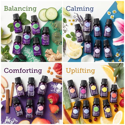 Scentsy Diffusers And Oils 2024, Scentsy Essential Oils 2023, Scentsy Oils 2023, Scentsy Essential Oils, Scentsy Flyers, Scentsy Diffuser, Scentsy Oils, Fragrance Blends, Scentsy Ideas