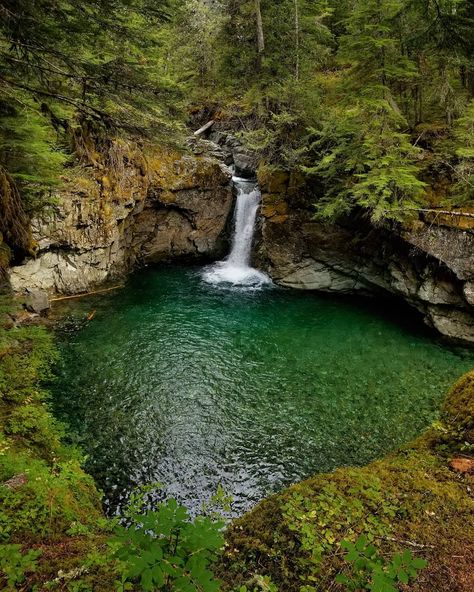 Of The Swimming Holes In Washington Siouxon Creek Should Be On Your Summer Bucket List - Narcity Nature, Pnw Hikes, Washington Waterfalls, Washington Adventures, Washington Summer, Oregon Summer, Gifford Pinchot National Forest, Washington Trip, Oregon Waterfalls