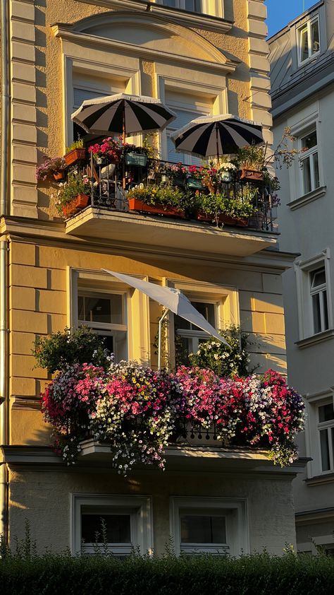 #balconies #munich #flowers #balcony #balkondekoration #balconygardenideas #münchen #aesthetic #schwabing #bavaria #romanticizing München Aesthetic, Munich Aesthetic, Flowers Balcony, Germany Trip, Romanticizing Life, Apartment Aesthetic, Munich Germany, Dream Apartment, Yellow Aesthetic