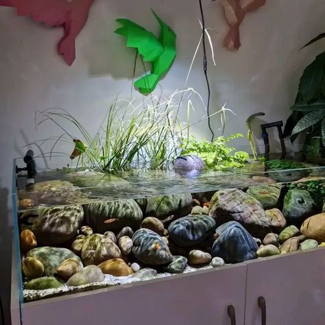 Eclectic Fish Tank, Riverscape Aquarium, Fish For Fish Tank, Rock Aquascape, Natural Aquarium, Small Water Gardens, Biotope Aquarium, Fish Tank Themes, Aquarium Garden