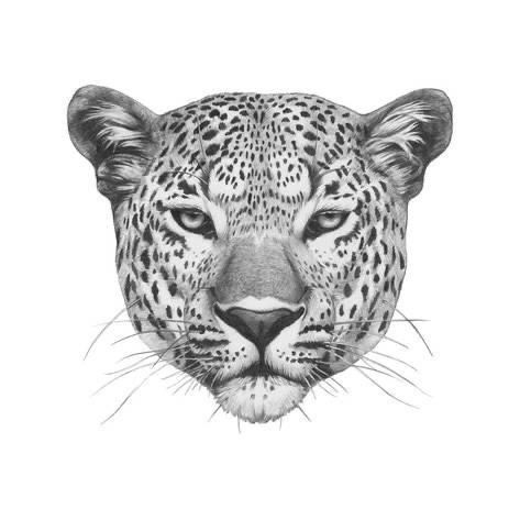 Leopard Drawing, Big Cat Tattoo, Jaguar Tattoo, Leopard Tattoos, Line Art Tattoos, Tattoo Feminina, Head Tattoos, Simplistic Tattoos, Tattoo Design Drawings