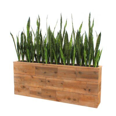 Wood Succulent Planter, Succulent Planter Diy, Corten Steel Planters, Resin Planters, Wooden Planter, Pallet Planter, Fiberglass Planters, Rectangular Planters, Wood Planter