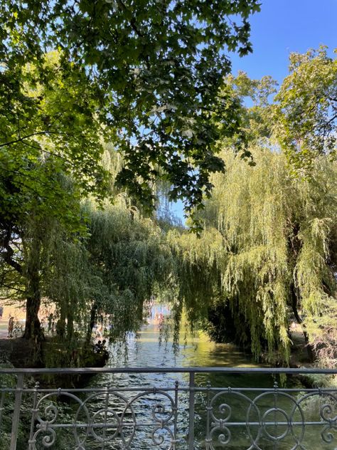 What to do in Munich, Germany. Englischer Garten: big park in the middle of the city. English Garden Munich Germany, Munich Germany Aesthetic, München Aesthetic, Germany In Summer, Munich Aesthetic, Munich Summer, Munich Germany Travel, Germany Aesthetic, Germany Summer