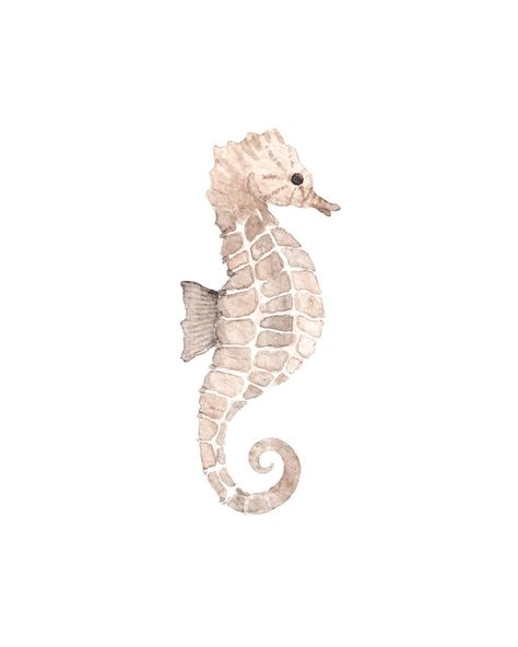 Aesthetic Widgets White, Beige Things, Seahorse Illustration, Seahorse Drawing, Pink Seahorse, Seahorse Tattoo, Seahorse Art, Beach Prints, Widget Ideas