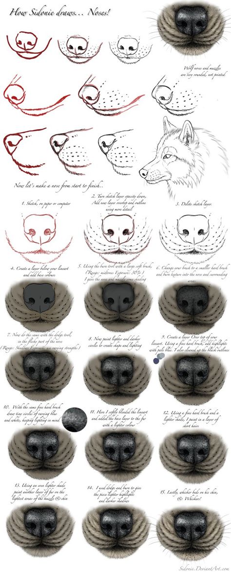 I would have called this a tutorial, only it really isn't all that accurate to real wolf anatomy-- and isn't a complete tutorial. It's just how I tend to draw them. This is kinda old xD But not ter... Nose Tutorial, Drawing Tuts, Drawing Dogs, Eye Sketch, Nose Drawing, 강아지 그림, Wolf Drawing, Sketches Tutorial, Art Instructions