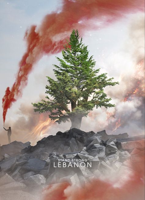 Lebanon Flag Aesthetic, Lebanon Wallpaper Aesthetic, Lebanon Independence Day, Lebanon Culture, Lebanon Food, Lebanese Flag, Beirut Explosion, Lebanon Flag, Independence Day Wallpaper