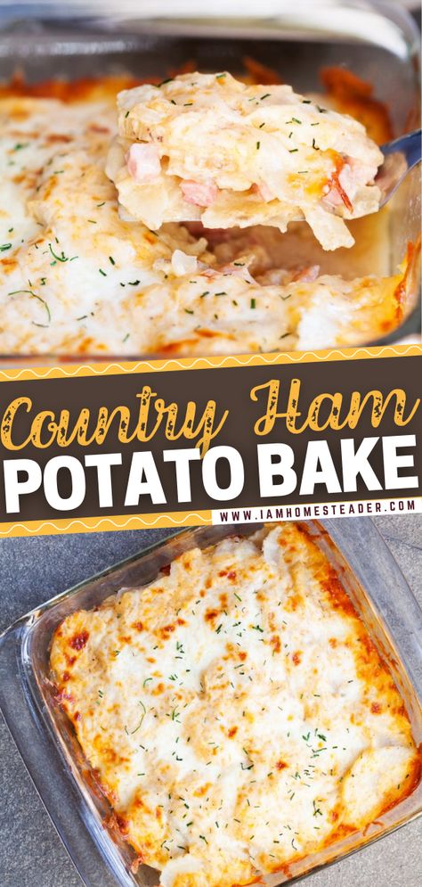 Country Ham Recipes, August Meals, Ham And Potato Recipes, Ham Recipes Healthy, Recipes With Cooked Ham, Quick Casserole, Recipes Using Ham, Ham Dinner Recipes, Ham Recipes Crockpot