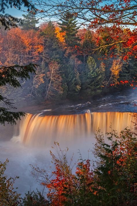 4k Iphone Wallpaper, Waterfall Forest, Forest Fall, Autumn Waterfalls, Tahquamenon Falls, Forest Falls, Waterfall Pictures, Upper Peninsula, Fall Wallpaper