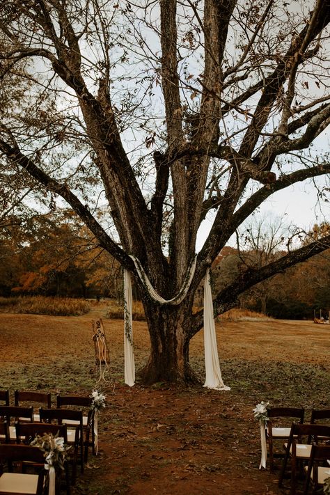 An elegant farm house style wedding under a giant oak tree at Vinewood Stables in Newnan Georgia for Skyler and Haley | Vinewood Stables Wedding | Farm House Style Wedding | Outdoor Wedding Inspiration Wedding Ceremony Under Tree Fall, Married In Front Of Tree, Tree As Wedding Arch, Under A Tree Wedding, Outdoor Tree Wedding, Wedding Oak Tree, Under Tree Wedding Ceremony, Wedding Under Oak Tree, Under Tree Wedding