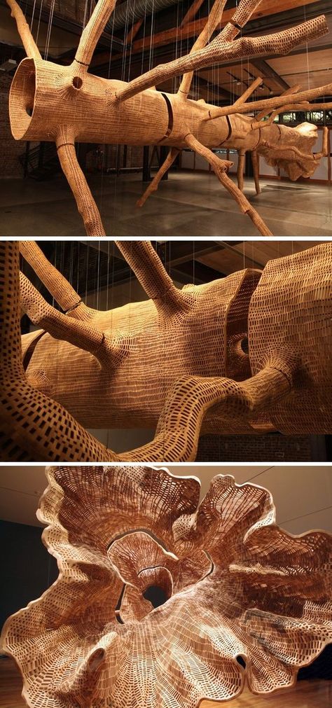 Wood Installation Art, Hemlock Tree, Tree Installation, Western Hemlock, Wood Installation, Giuseppe Penone, Neo Dada, Wooden Sculptures, Plaster Cast