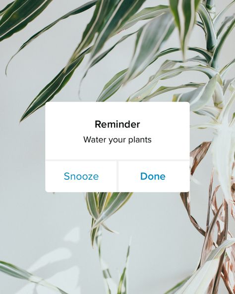 Nature, Phone Notification, Garden Section, Social Graphics, Portrait Graphic, Adobe Express, Plant Watering, Instagram Portrait, Promotional Design