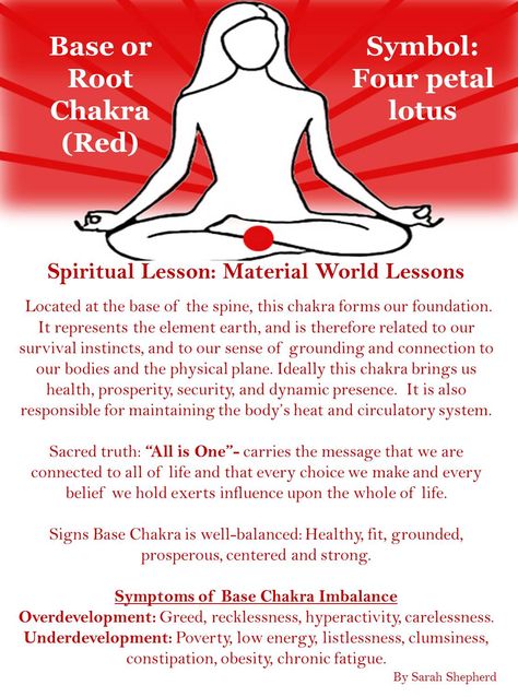 Chakra Anatomy, Chakra Guide, Root Chakra Meditation, Chakra Lotus, Chakra Mantra, Muladhara Chakra, Chakra Health, Root Chakra Healing, Base Chakra