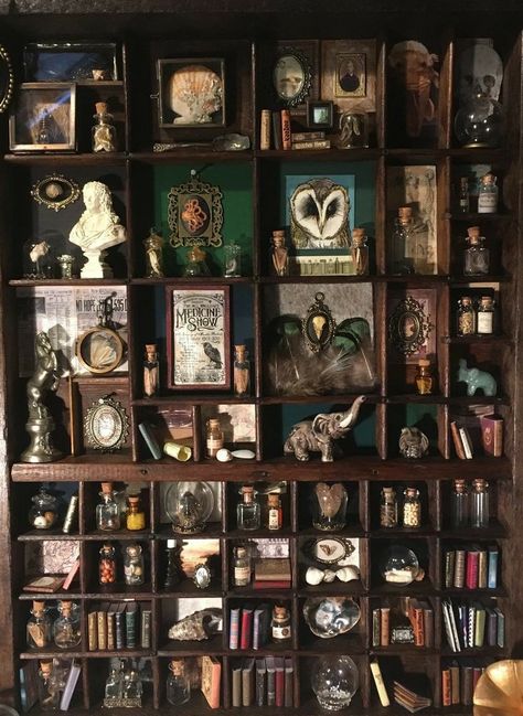 Curio Cabinet Styling Ideas, Dark Old World Decor, Gothic Library Decor, Capturing Home Show, Dark Academia Shelves, Witchy Shadow Box Ideas, Displaying Crystals In Home, Dark Academia Classroom Aesthetic, Witchy Apothecary Decor