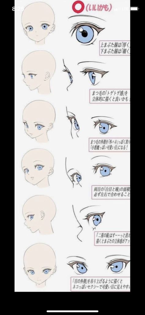 Anime Face Structure Reference, Eye Positions Reference, Anime Face Guide, Pose Bust Up Reference, Manhwa Face Reference, Anime Face Guidelines, Manhwa Tutorial, Manhwa Art Style Tutorial, Bust Reference