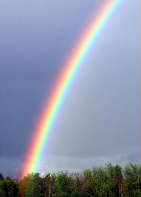 Nature, Rainbow Rain, God's Promise, Rainbow Sky, Nature's Bounty, Make It Rain, Love Rainbow, Travel Bug, Beautiful Rainbow