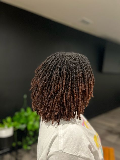 Brown Ombre Locs Black Women, Chocolate Brown Microlocs, Mini Locs Black Women, Micro Locs 4c Hair, Microlocs Black Women, Loc Dye Ideas Dark Skin, Colored Microlocs Black Women, Small Dreads Black Women, Brown Microlocs