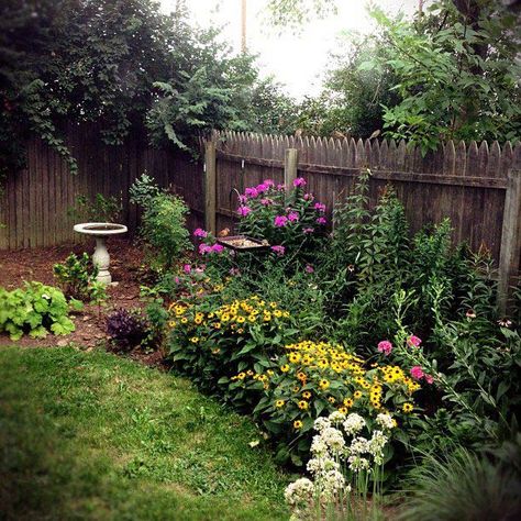 kentucky-native-plant-bed Native Plant Landscape, Plants For Beginners, Florida Native Plants, Florida Landscaping, Black Thumb, Native Plant Gardening, Australian Native Plants, Dry Creek, Wildflower Garden