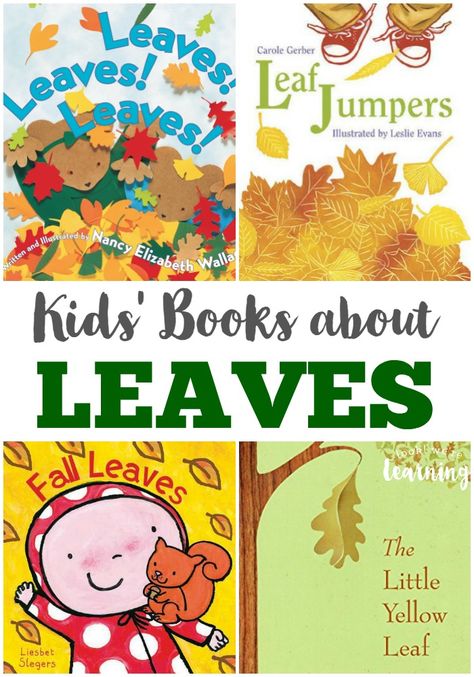 Fall Books Preschool, Elementary Books, Leaf Book, Book Baskets, Autumn Activities For Kids, Fallen Book, Preschool Books, Fiction And Nonfiction, Holiday Books