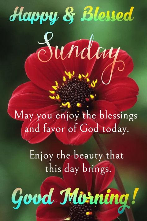 Happy Sunday | Good Morning Sunday - wishes1234.com Good Morning Blessed Sunday, Happy Sunday Good Morning, Blessed Sunday Morning, Blessed Sunday Quotes, Good Morning Wish, Happy Sunday Images, Sunday Prayer, Good Morning Sunday Images, Good Morning Sunday