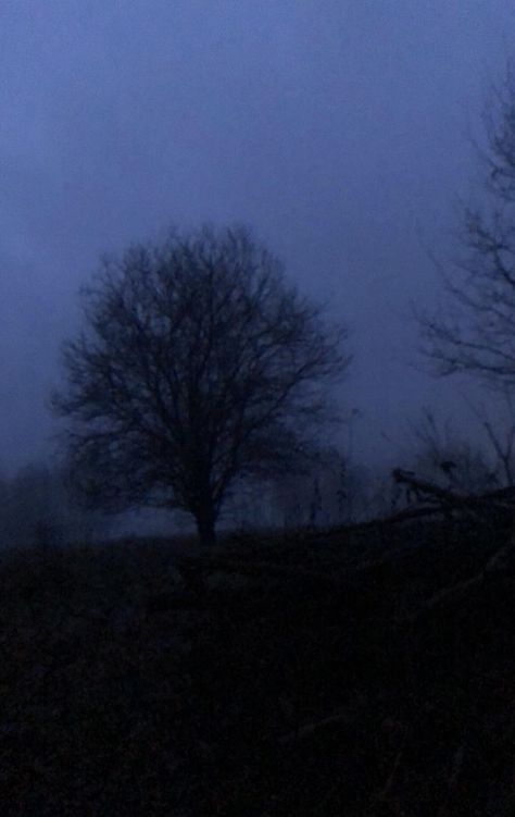 Misty Dark Aesthetic, Deep Winter Pictures, Nature, Aesthetic Deep Pictures, Gray Hour Winter, Poison Tree Aesthetic, Dark Tree Aesthetic, Melinoe Aesthetic, Gothic Lighthouse