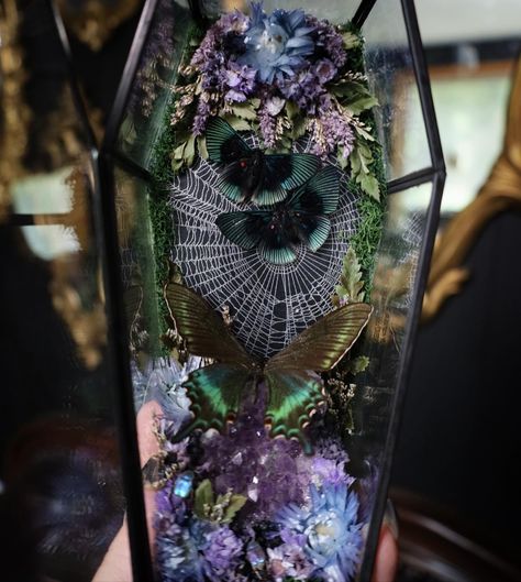 Available on May 10th at 6pm PST 🕸️ Preserved orb weaver web, alpine black Swallowtail, Apollo Metalmark butterflies, blue-violet chafer beetles, amethyst cluster, and dried florals in a glass coffin terrarium. Coffin Terrarium, Dark Academia Diy, Glass Coffin, Gothic Crafts, Orb Weaver, Spring Form, Entomology Art, Black Swallowtail, Taxidermy Display